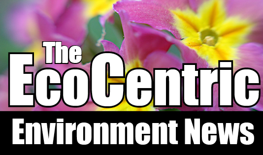 environmentnewslogo