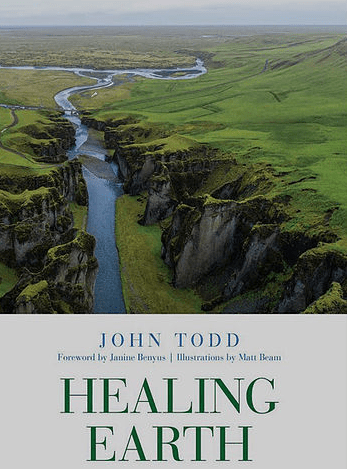 Screen Shot 2019-05-27 at 9.15.13 AM