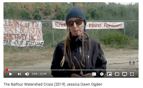 Screen Shot 2019-07-05 at 11.13.50 AM