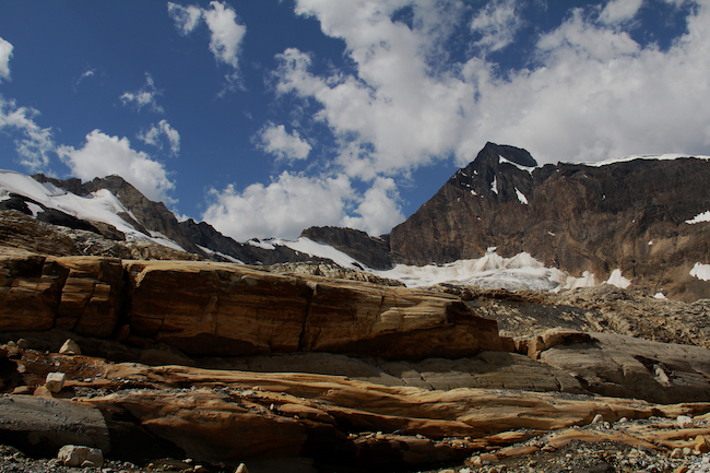 Jumbo Wild Democracy Camp 2013